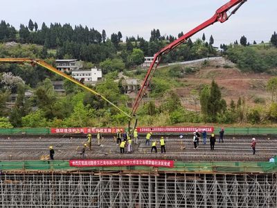 汉巴南铁路全线首个道岔连续梁顺利合龙——各类工程建设活动加快推进